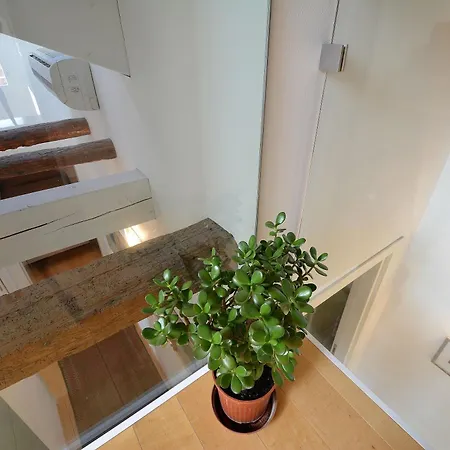 Dandolo-terrace Appartement Venise