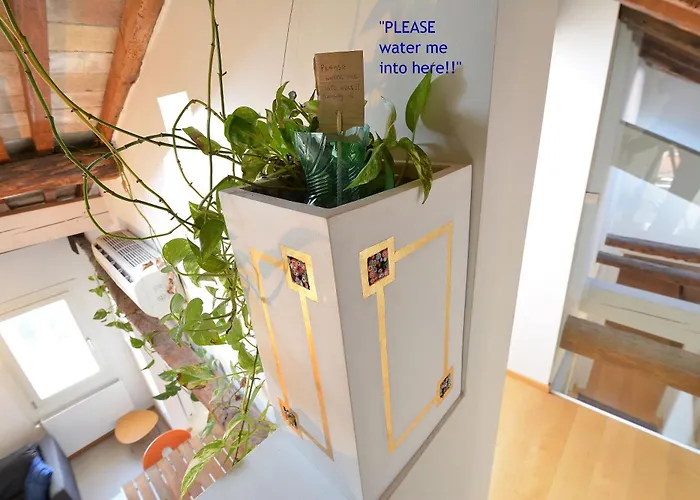 Apartman Dandolo-terrace *